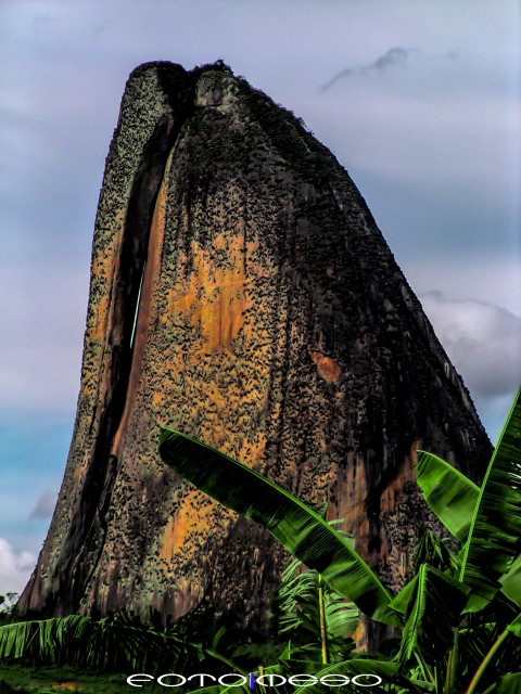 Brasil logo 9 (Small)